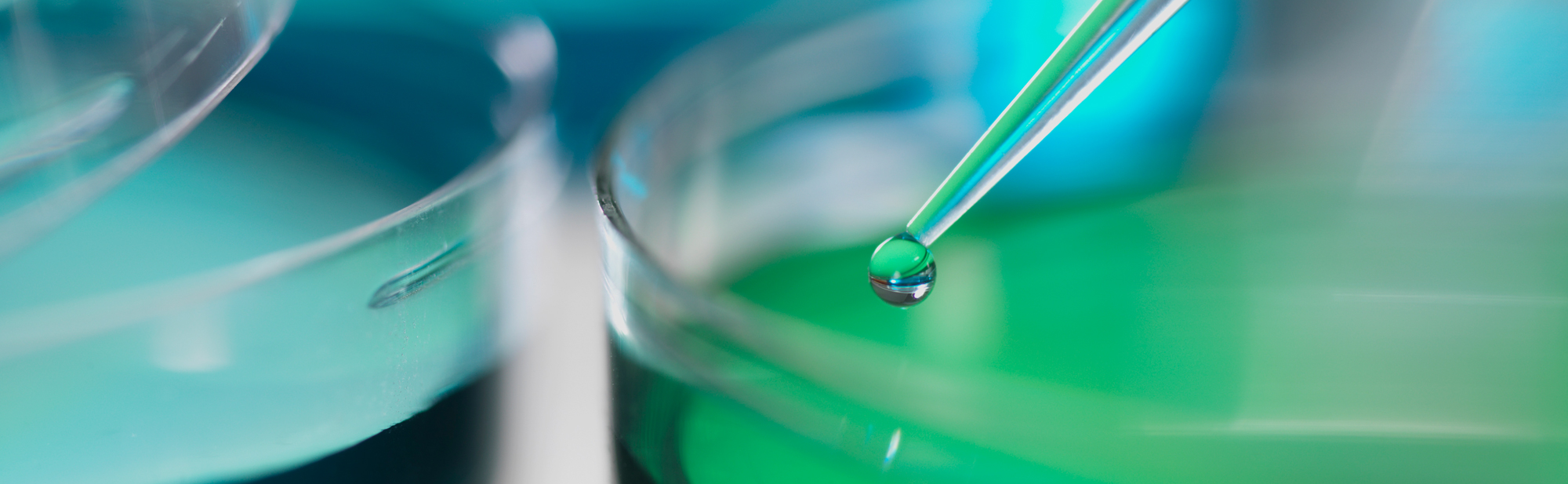 R & D team has created proprietary ionizable lipid-like compound libraries 