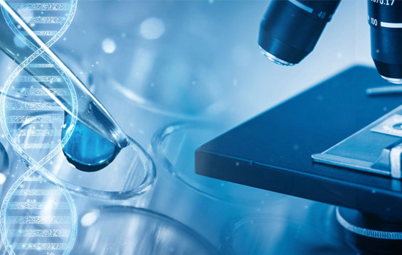RongCan Biotech Plans to Cooperate with Zhangjiang Hi-tech Park to Set Up a Management Headquarter 